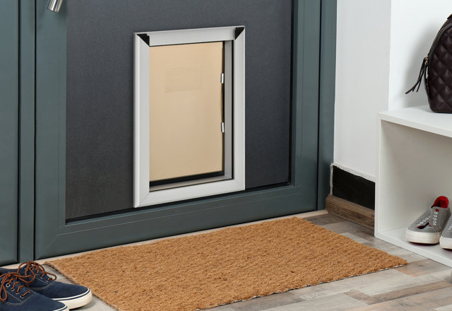 Must-Have Pet Doors