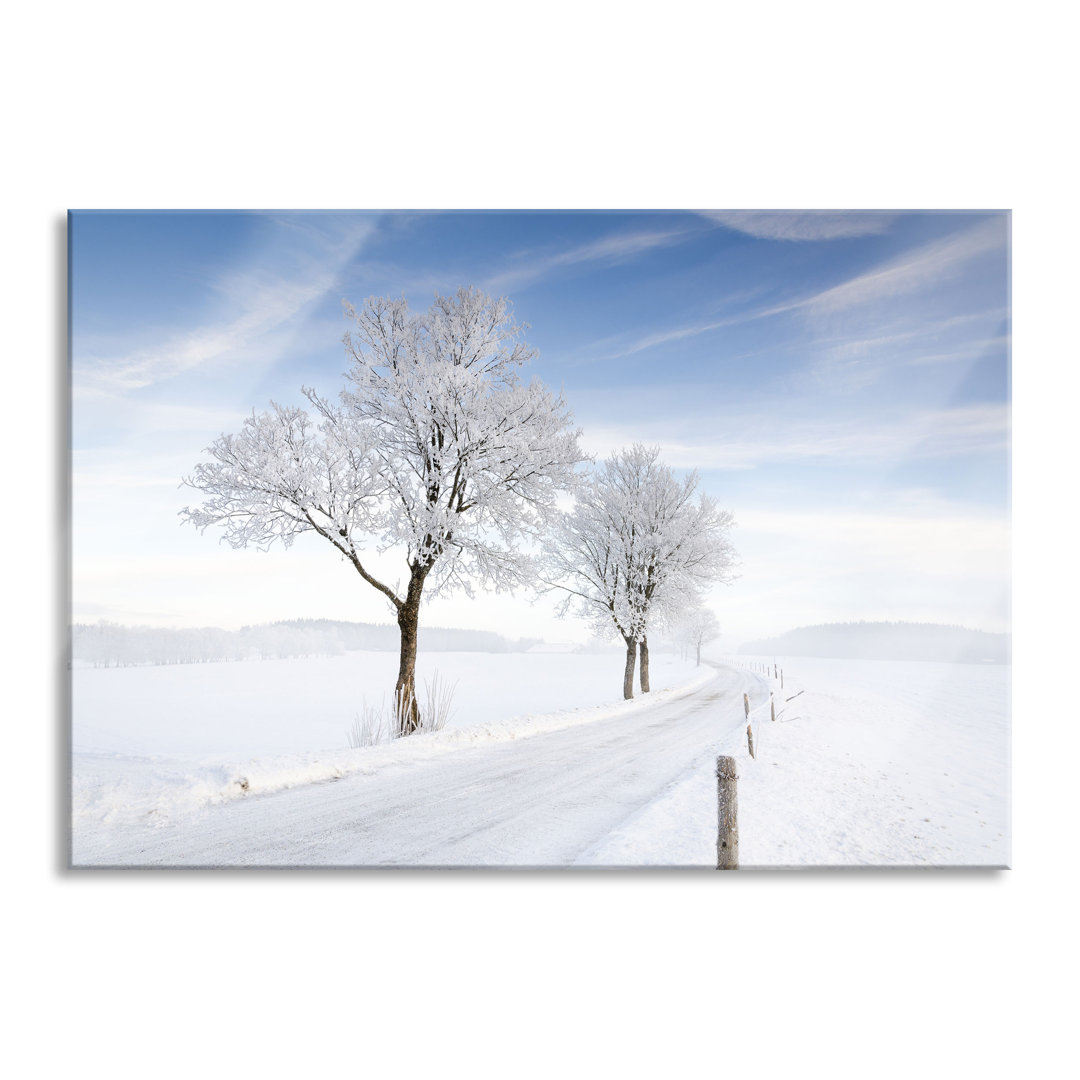 Glasbild Baum Im Schnee