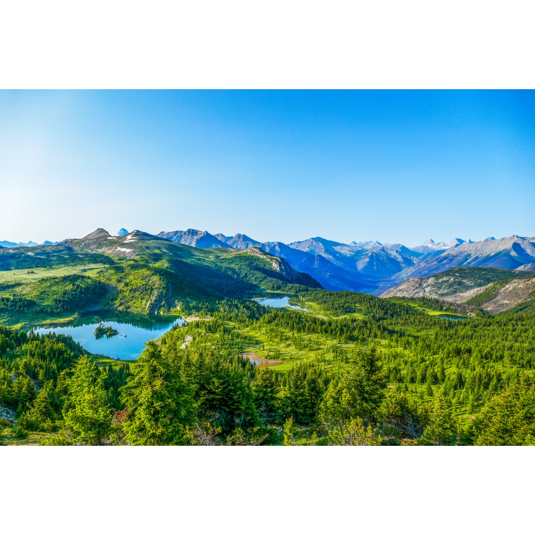 Sunshine Meadows Vista von Yuin Lu Hoo - Leinwandbild