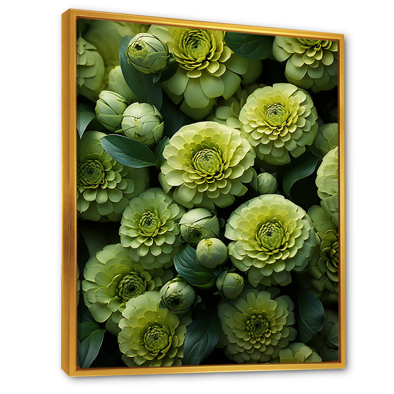 «Twilight Green Zinnias Flowers» sur toile, Cadre flottant doré, H 44 po x l 34 po