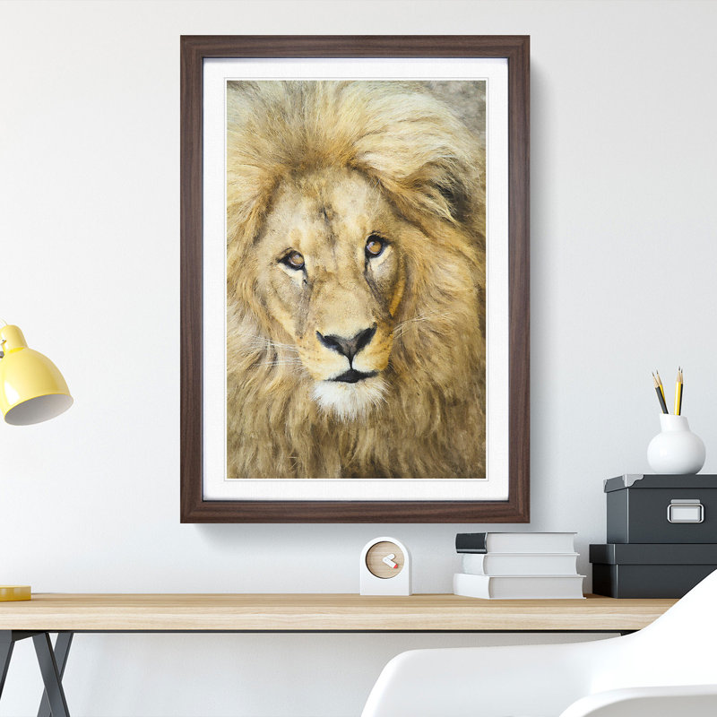 The Face of a Lion - Picture Frame Painting Print, Walnut Framed, 87cm H x 62cm W x 2cm D