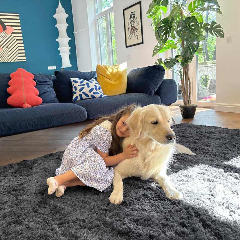 Machine Washable Area Rugs For Living Room Bedroom Soft Fluffy Shaggy Bedside Rug Indoor Floor Carpet For Kids Girls And Boys Dorms Nursery Home Decor Aesthetic