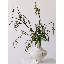 Branche de chat sauvage - 44,5 po-291214828