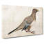 Pigeon by Katsushika Hokusai - Wrapped Canvas-55324946
