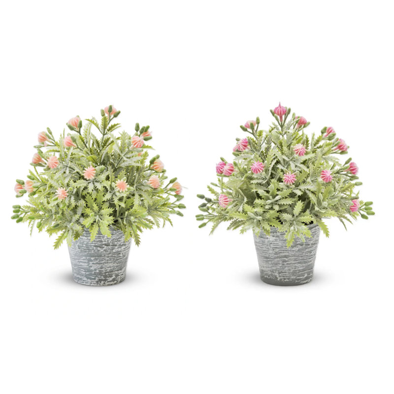 Délicat fruit en pot (rouge et rose)