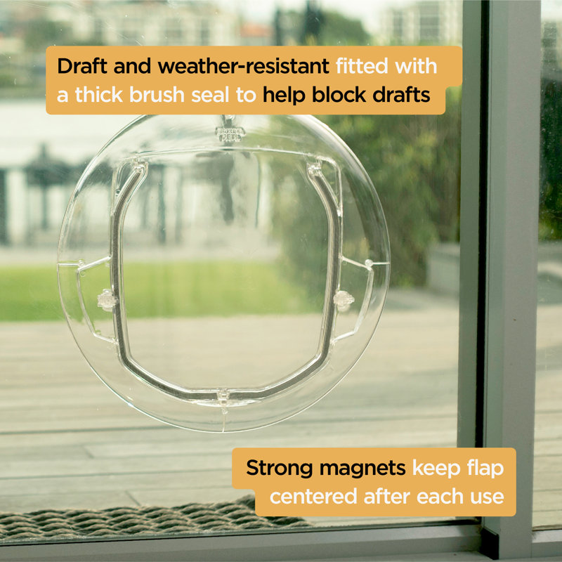 Small Clear Plastic Pet Door with Four-Way Lock