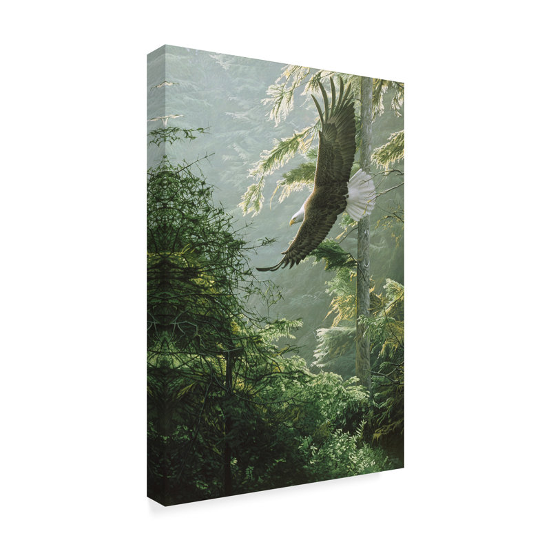 Morning Flight Eagle Canvas Art in Green Forest Scene