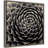 " Succulent " by Gary Horsfall