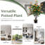 102cm Faux Flowering Tree in Cement Pot
