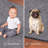 Modern Plush Pet and Kids Friendly Solid Color Area Rugs, Stain & Fade Resistance, Bedroom, Playroom and Kidsroom, Event, Wedding, Perfect for Living Room, Dining Room, Gray Rug-1283596246