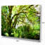« rain forest », reproduction de photo sur toile tendue-29503675