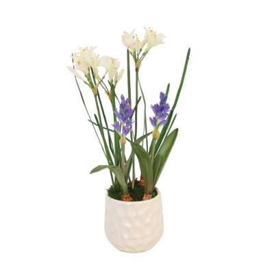 Hyacinthes et lis Nerine dans un pot à fleurs blanc