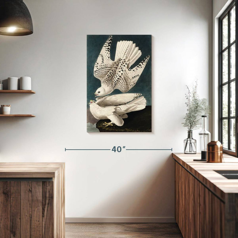 Brampt Iceland Or Jer Falcon, 36" H x 24" W