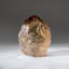 Museum Quality Silver Rutilated Quartz Point from Brazil (7 lbs)