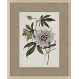 Floral Study In Plum 4 Painting