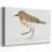 Pretty Piper IV-Gallery Wrapped Canvas-1711150247