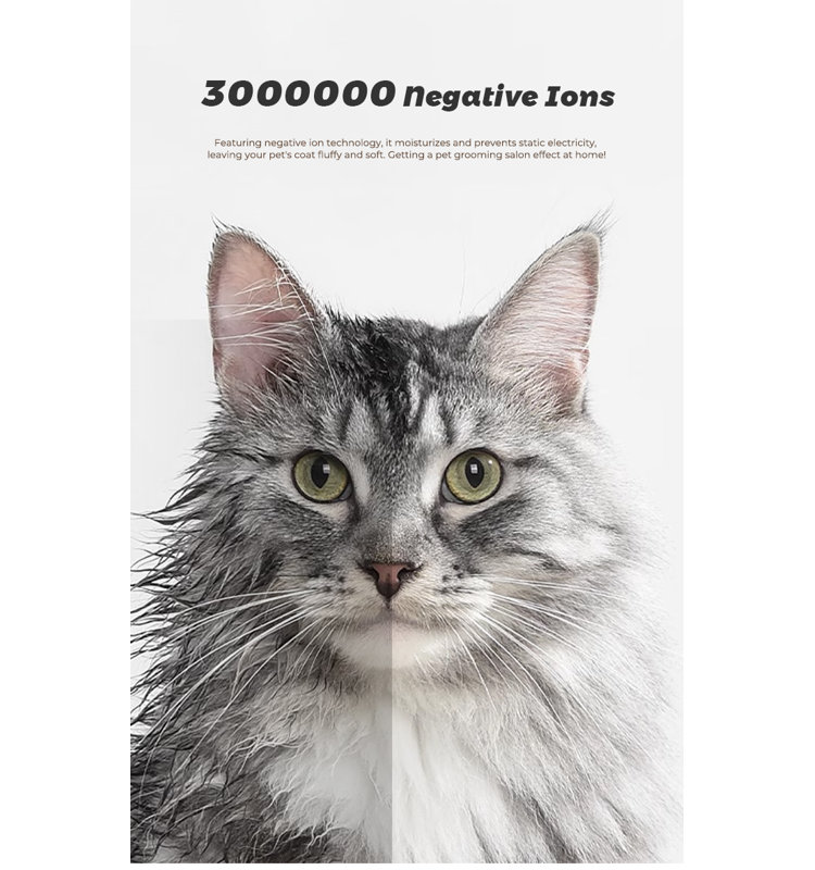 Salle de séchage pour animaux de compagnie