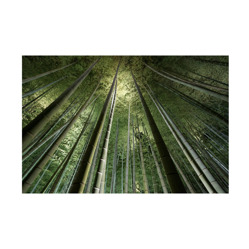 Art sur toile Takeshi Marumoto, H 12 po x l 19 po