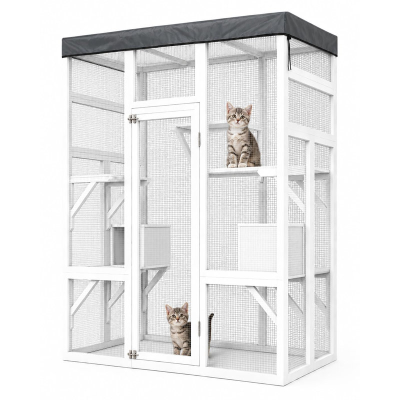 Cat House, White