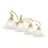 Aquala 4 - Light Dimmable Vanity Light-20317198
