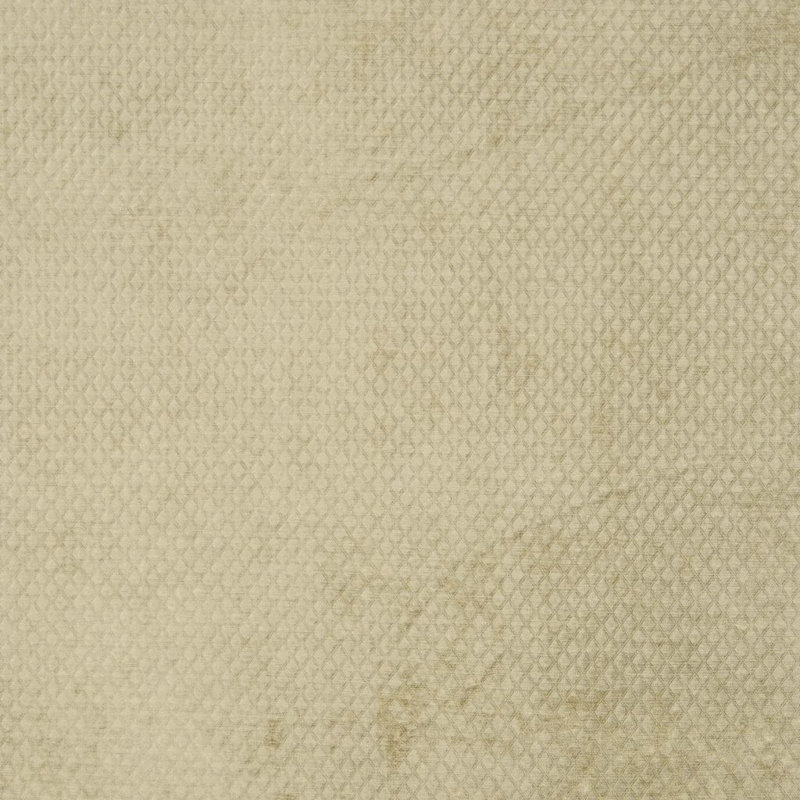 Tissu Massachusetts, Olive