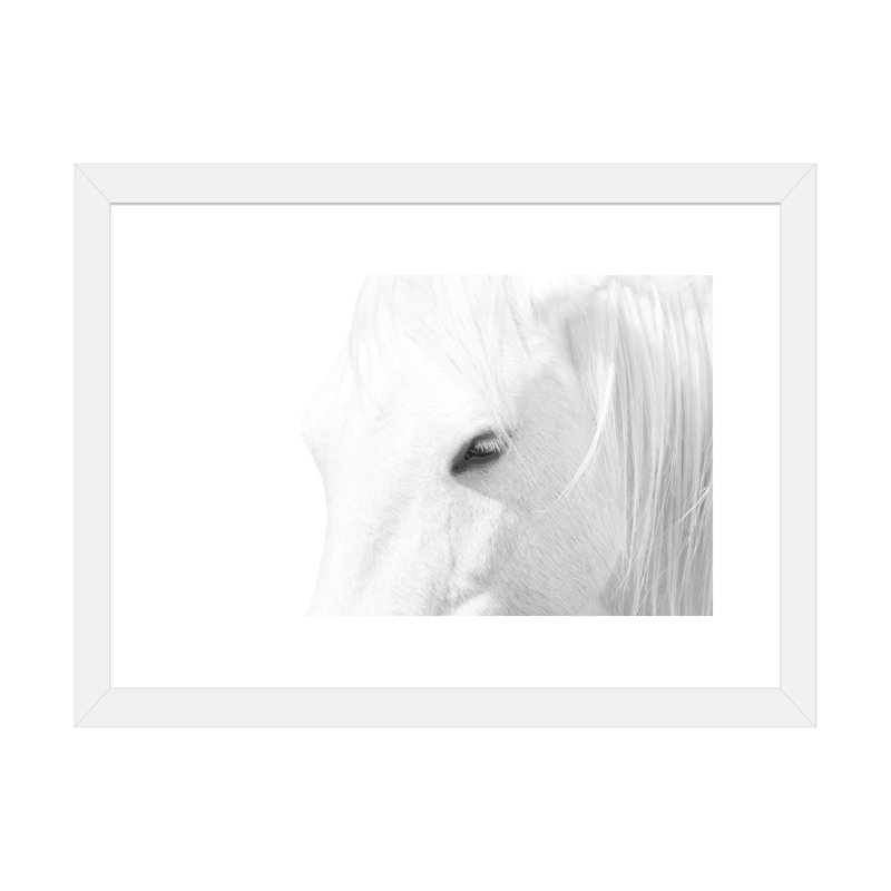 « Cheval blanc » par Marco Carmassi-impression d’art graphique, Papier blanc, Blanc, H 16 po x l 24 po x P 1 po