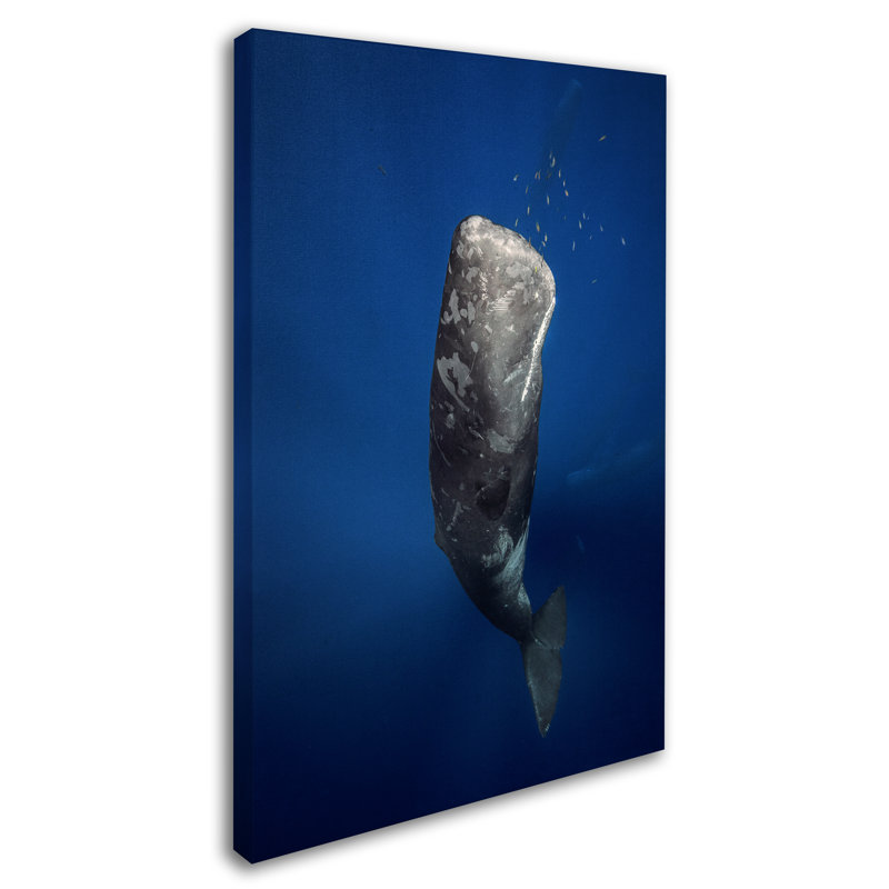 Large Coastal Blue Whale Canvas Art with Wooden Frame