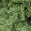 Sapin de Noël Leilonie-113059155