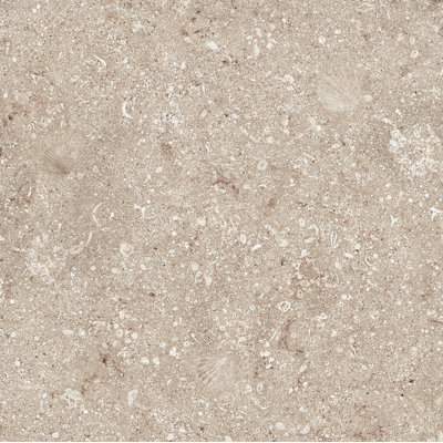 Ocean Paver 24" x 24" Porcelain Field Tile