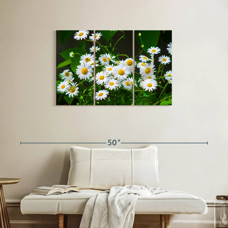 Harnek Chamomile Blooms, 24" H x 38" W
