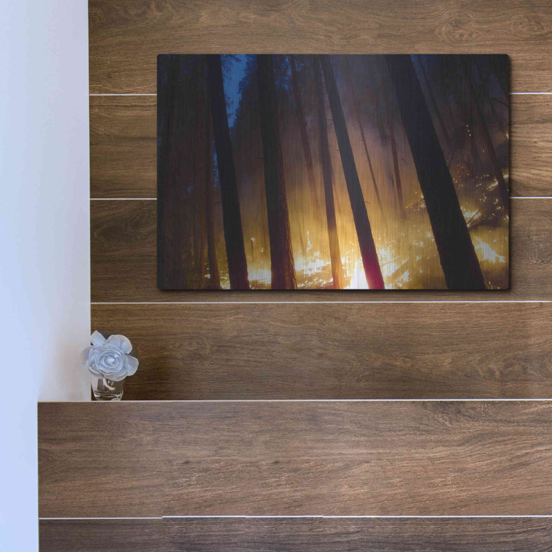 «Burning Forest» par Thomas Haney, H 12 po x l 16 po