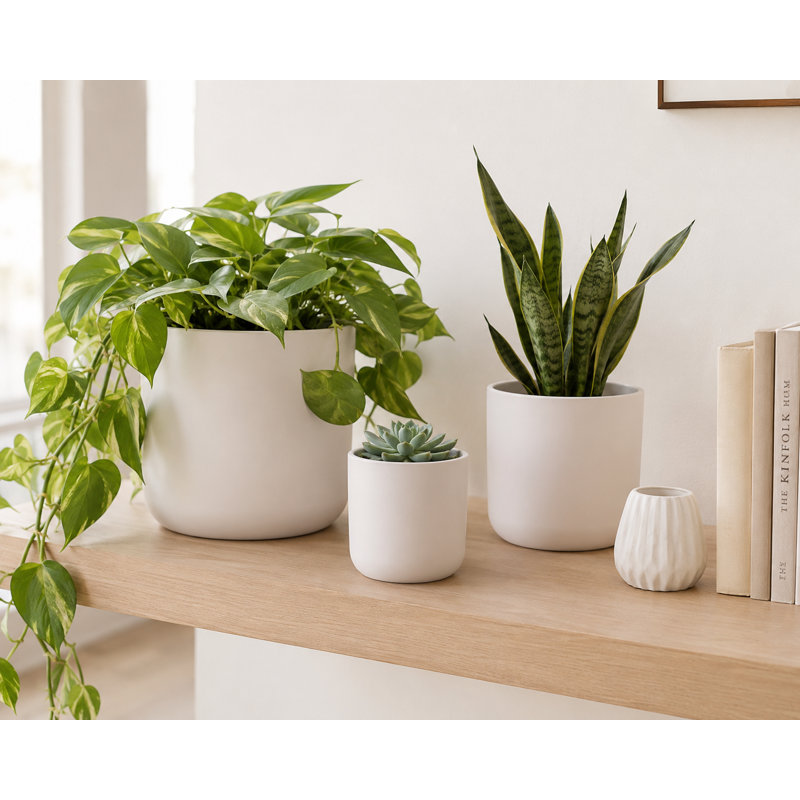 Matte Ceramic Round Pot Set of 3, Modern Minimalist Planter in Graduated Sizes, White