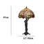 Alec Table Lamp-1243970064