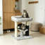 48 cm Small Cat Tree with Scratching Posts, Bed, Perch, Self‑Groomer & Toy, Grey