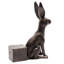 Drove of Hares Planter Feet