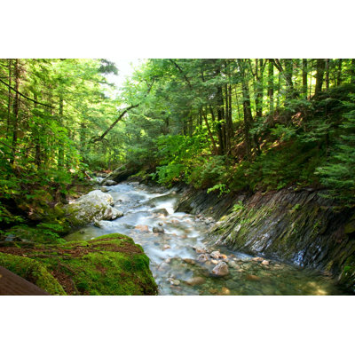 " White River "