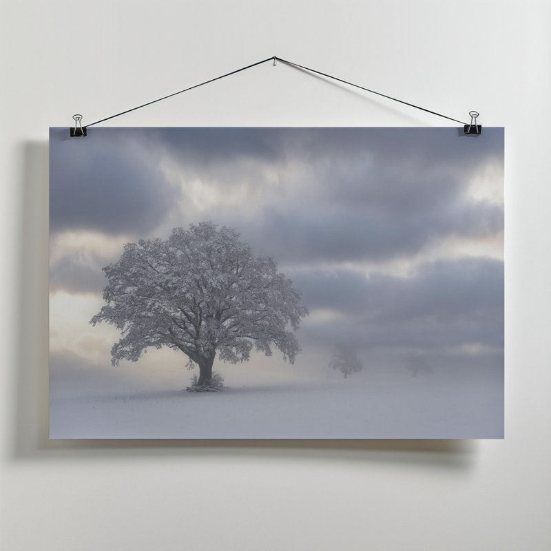 1 Piece Wrapped Canvas Wall Art