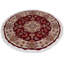 Kassadi Oriental Area Rug in Red