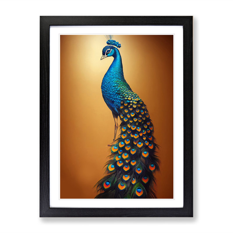 Shimmering Peacock - Framed Print, Black Framed, 34cm H x 25cm W x 2cm D