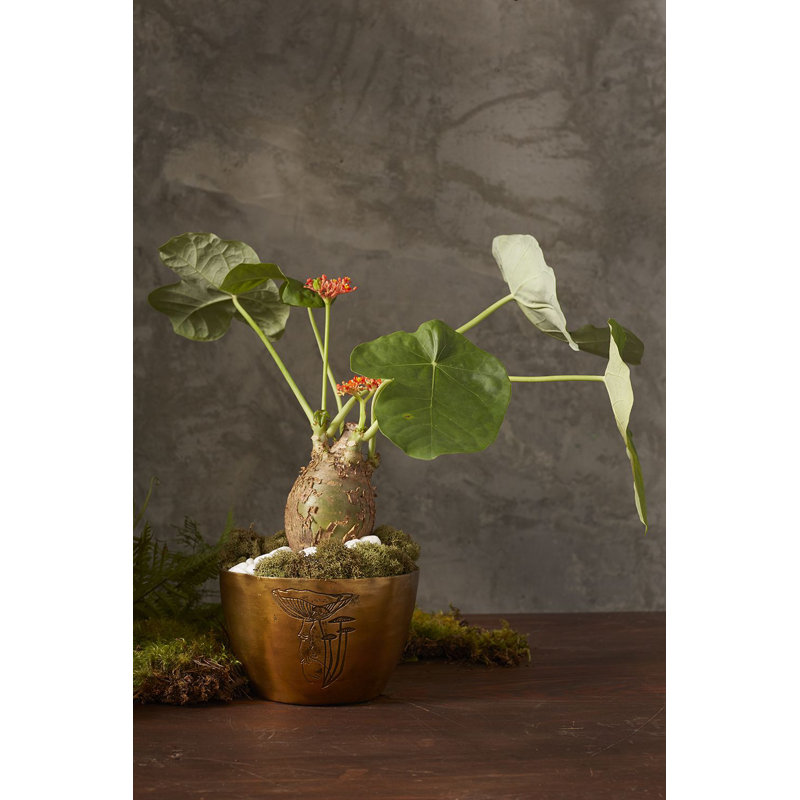 Carlijn Handmade Metal Decorative Bowl 1