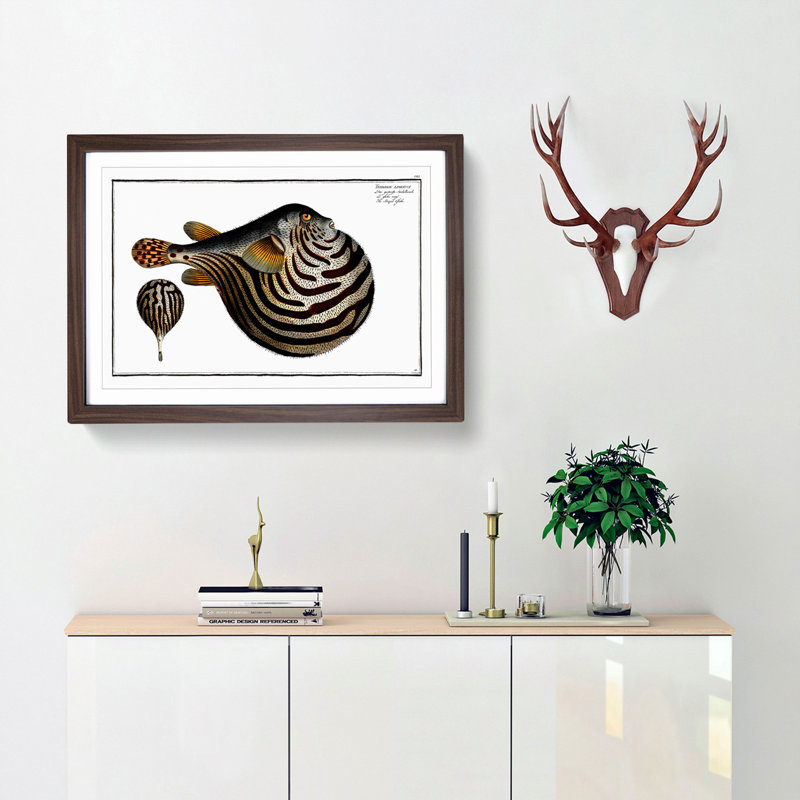 Striped Pufferfish by M.E. Bloch - Framed Print, 36cm H x 48cm W x 2cm D, Walnut Framed