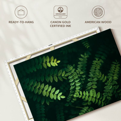 Feuilles d'acacia Harnek