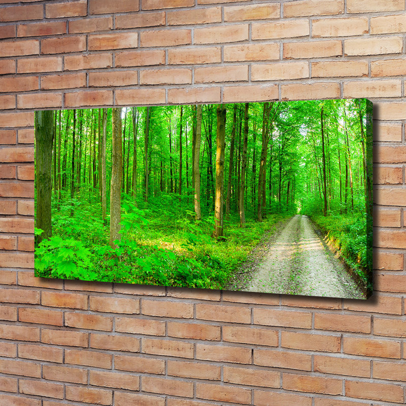 Trees In The Forest - No Frame Print on Canvas