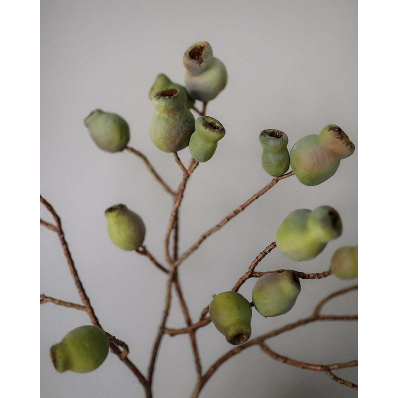 Gousses d'eucalyptus artificielles 24,5 po