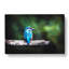 Kingfisher Looking West In Abstract - Wrapped Canvas Print-55309193