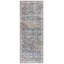 Mchellen Antique Patina Performance Oriental Rug-228995819
