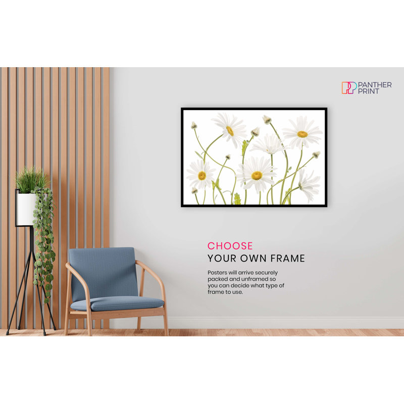 Ox Eye Daisies Flower Garden - No Frame Print, 31cm H x 46cm W
