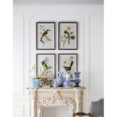Summer Bird Framed Prints
