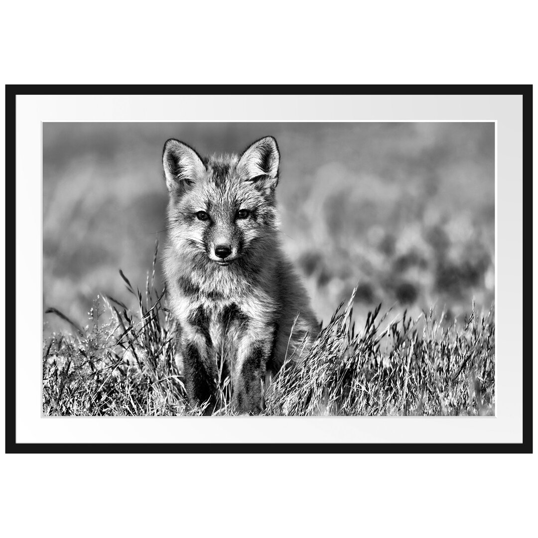 Gerahmtes Poster Kleiner Fuchs