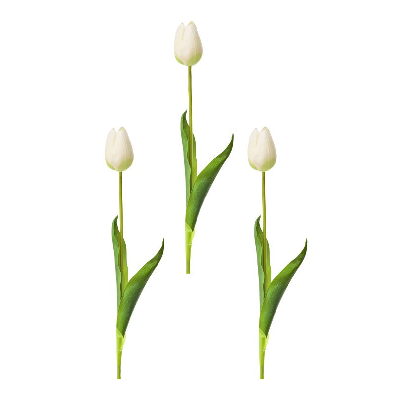 23" Just Cut Holland Tulip